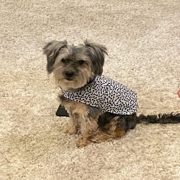 Meet Your Posher - Picture 3 of 3